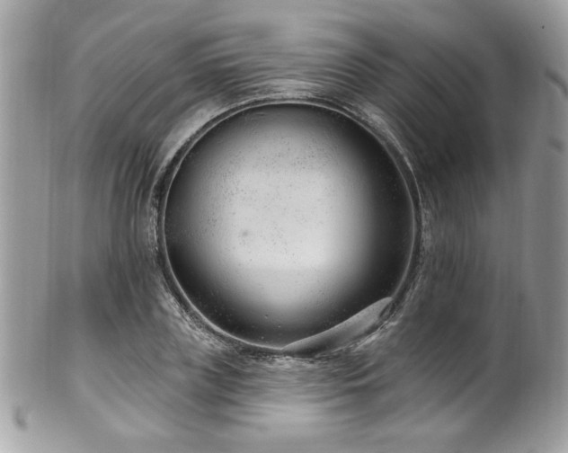 X0000102310835200807251437