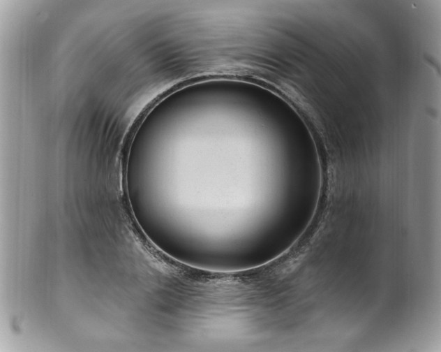 X0000102310838200807251437