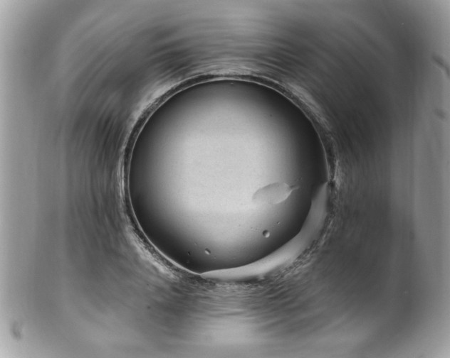 X0000102310840200807251438