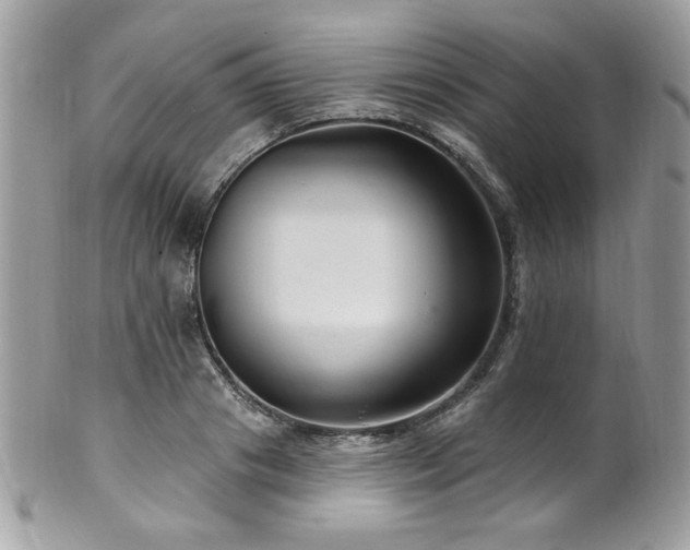 X0000102310841200807251438