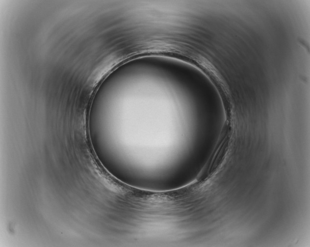 X0000102310842200807251438
