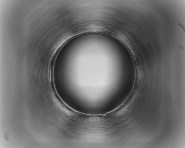 X0000102310843200807251438