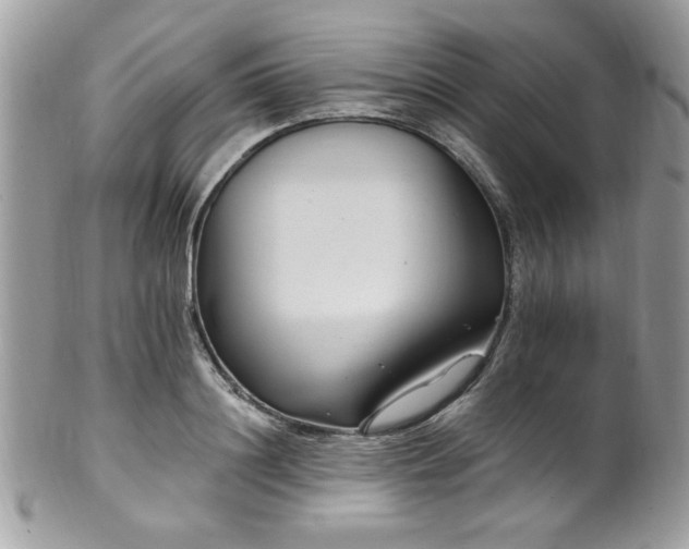 X0000102310844200807251438