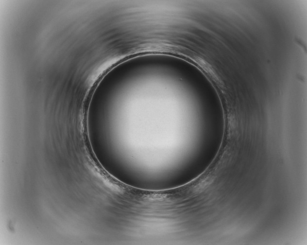 X0000102310846200807251438