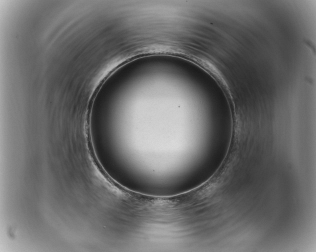 X0000102310847200807251438