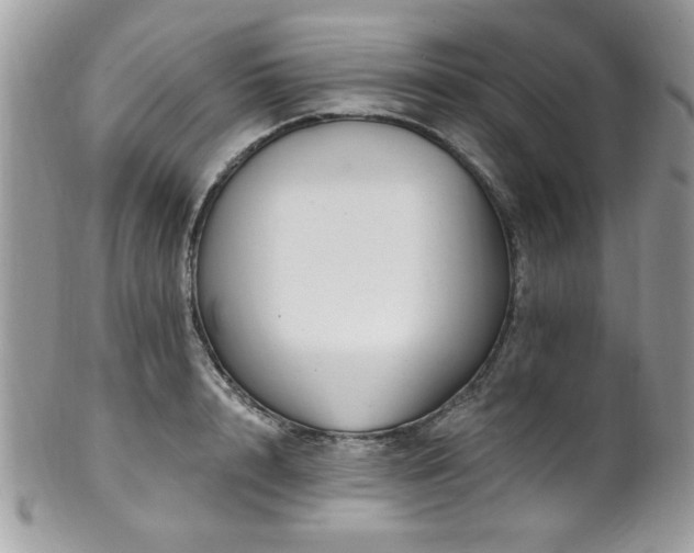X0000102310848200807251438