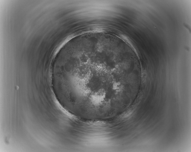 X0000102310851200807251438