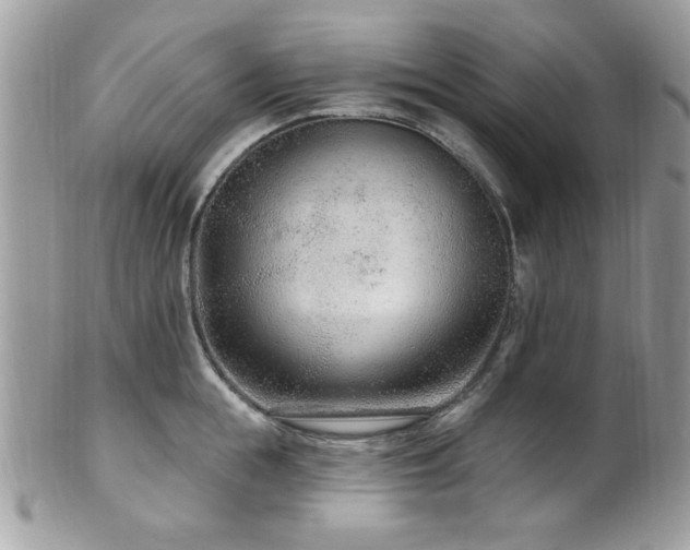 X0000102310855200807251438