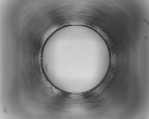 X0000102310856200807251438
