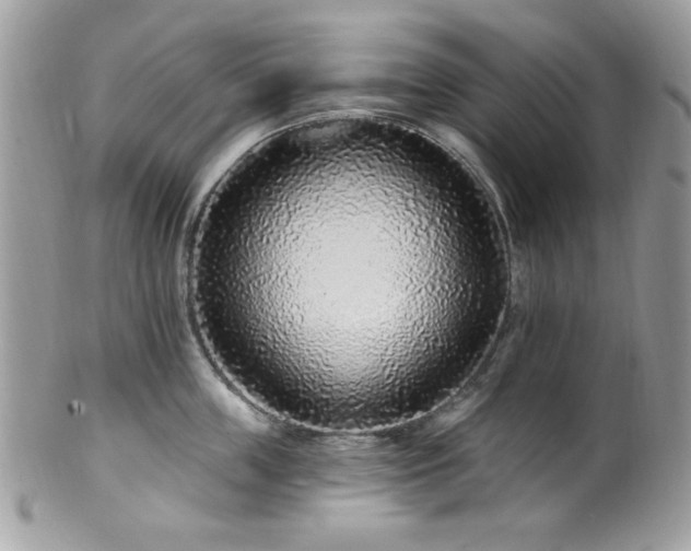X0000102310859200807251438