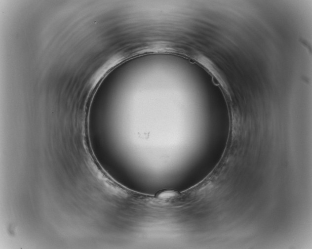 X0000102310861200807251438