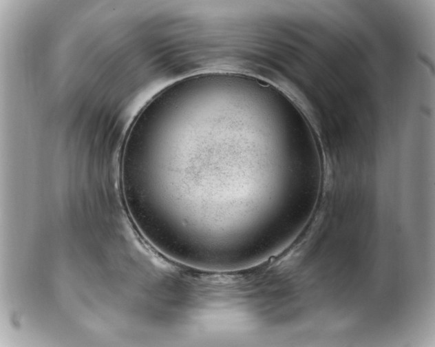 X0000102310862200807251438