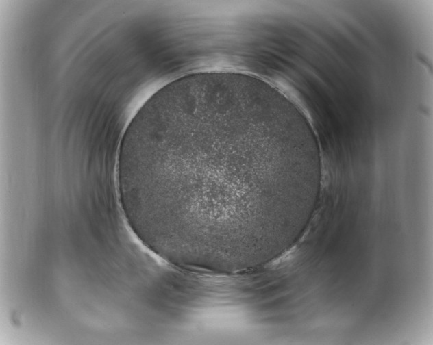 X0000102310863200807251438
