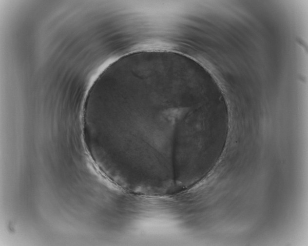 X0000102310864200807251438