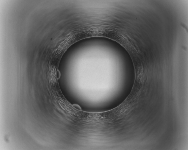 X0000102310866200807251437