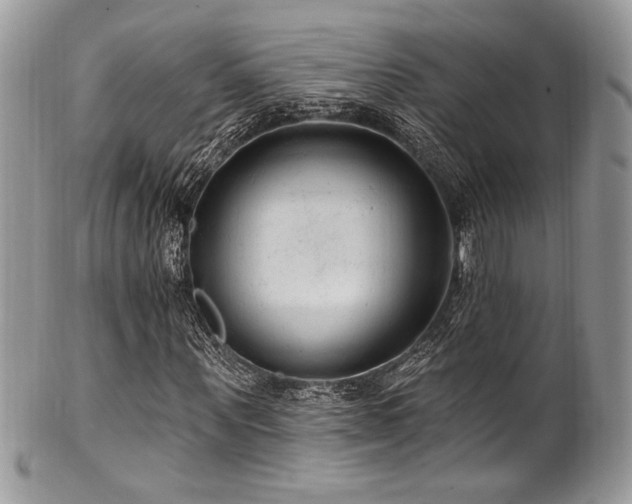 X0000102310867200807251437
