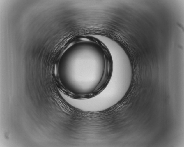 X0000102310868200807251437
