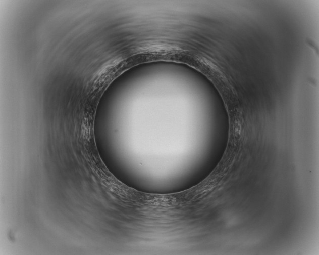 X0000102310869200807251437
