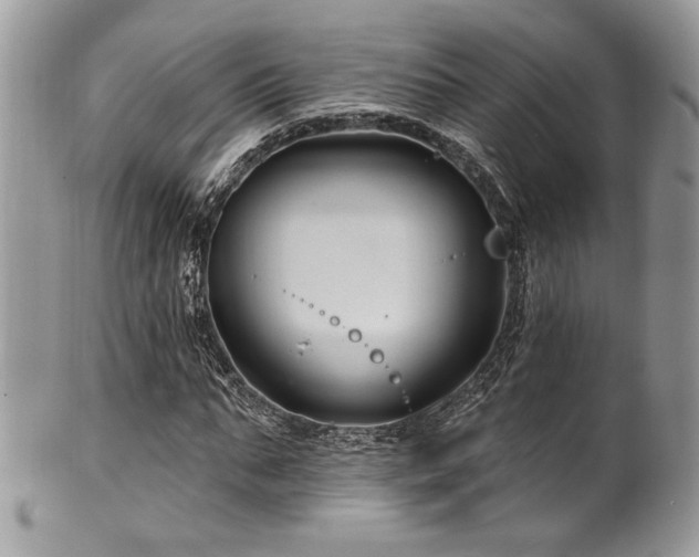 X0000102310871200807251437