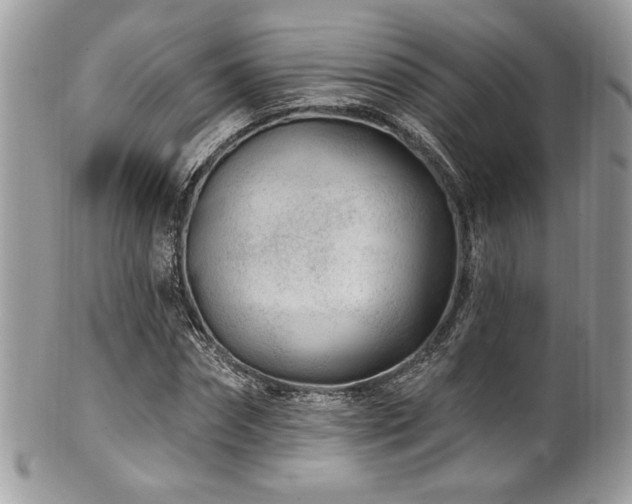 X0000102310874200807251437