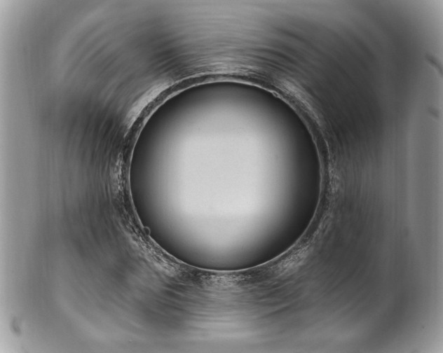 X0000102310875200807251437