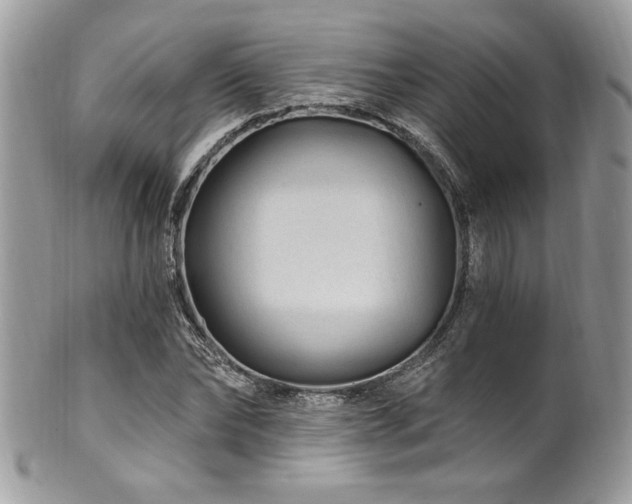 X0000102310878200807251437