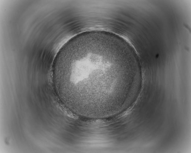 X0000102310879200807251437