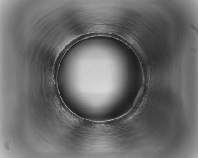 X0000102310880200807251437