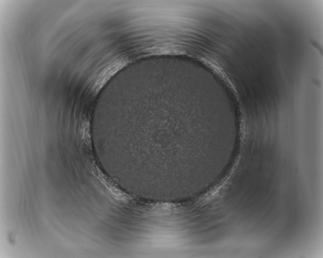 X0000102310881200807251437