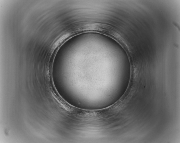 X0000102310882200807251437