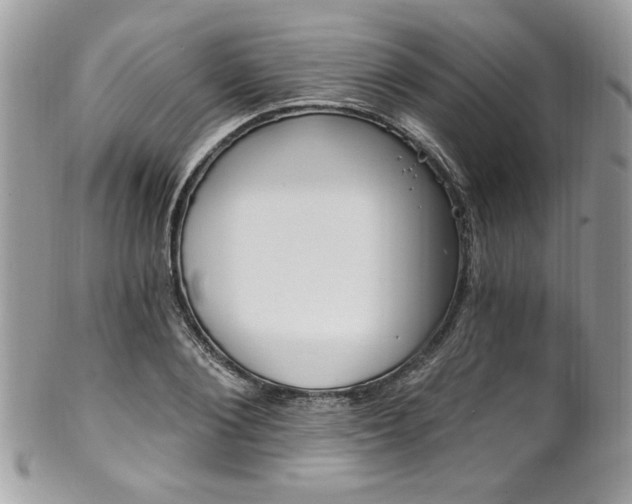 X0000102310884200807251437