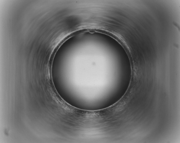 X0000102310887200807251437