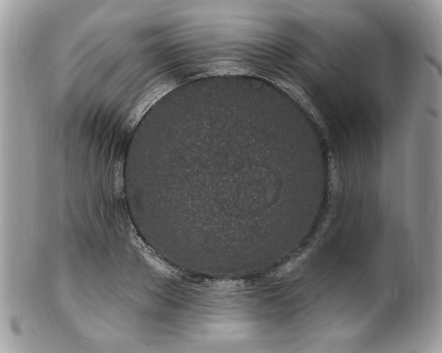 X0000102310889200807251437