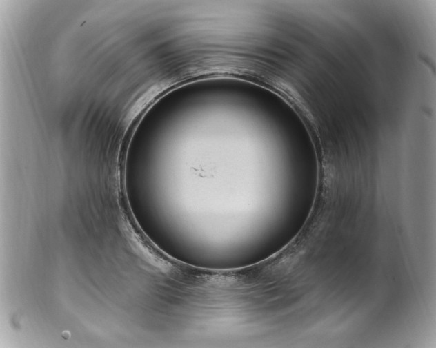 X0000102310890200807251437