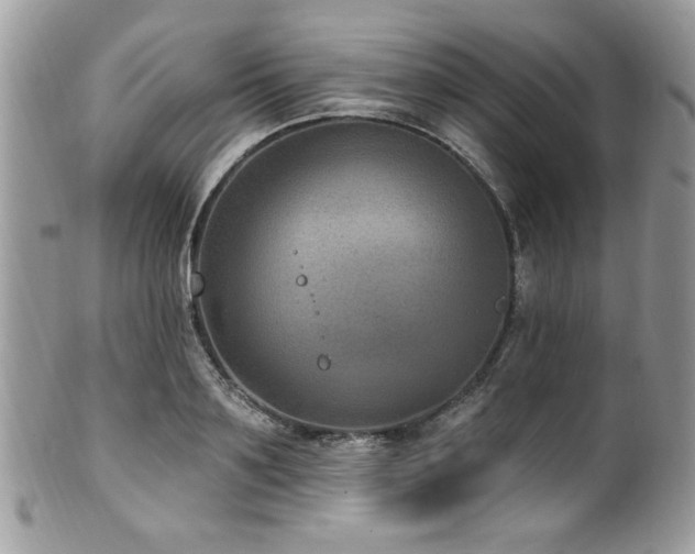 X0000102310891200807251437