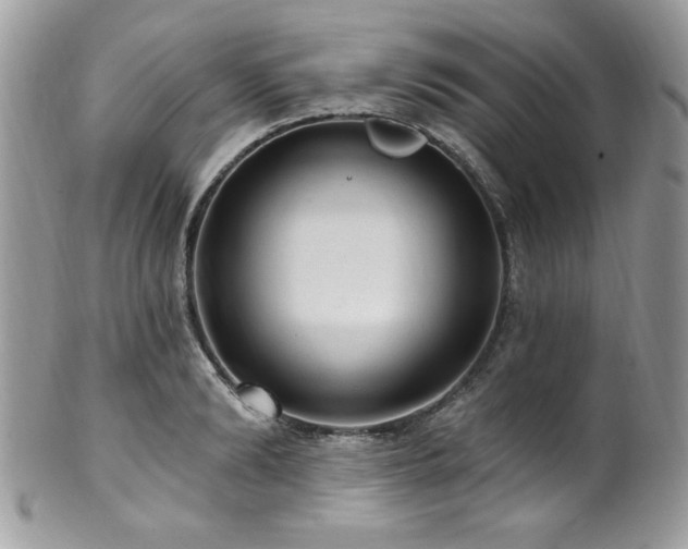 X0000102310894200807251437