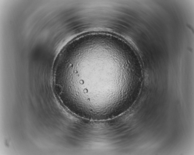 X0000102310895200807251437