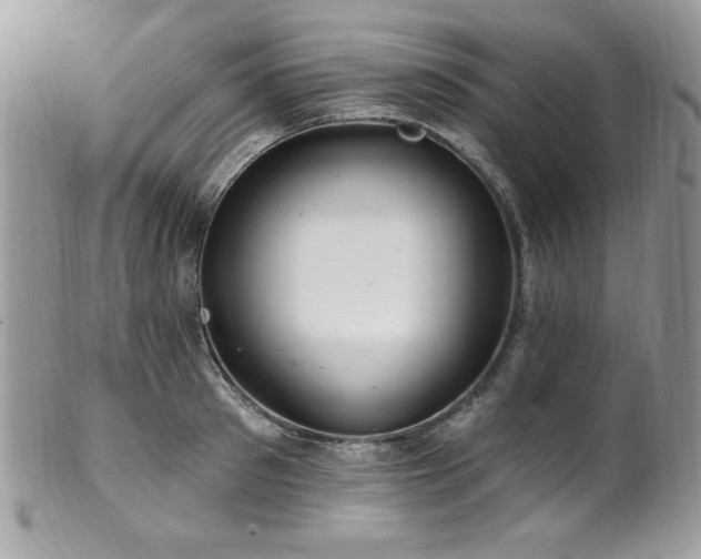 X0000102310897200807251437