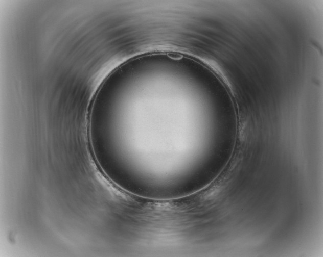 X0000102310903200807251437