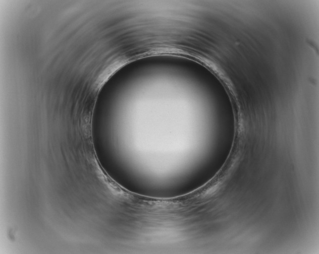 X0000102310905200807251437