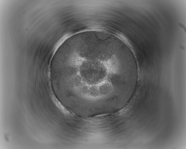 X0000102310907200807251437