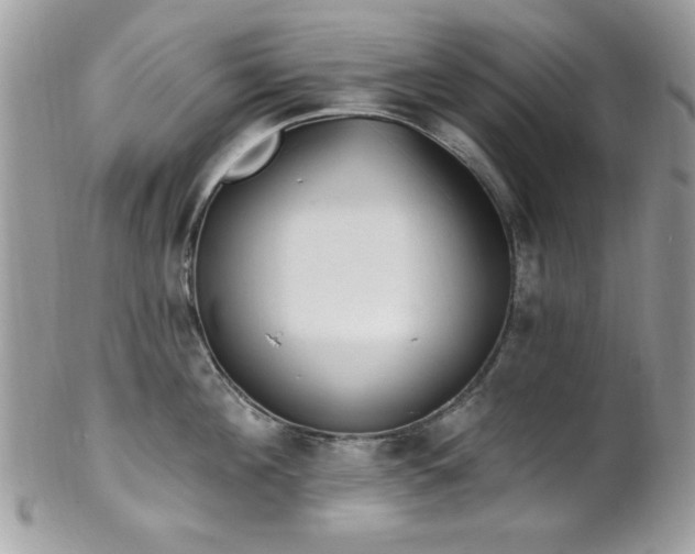 X0000102310908200807251437