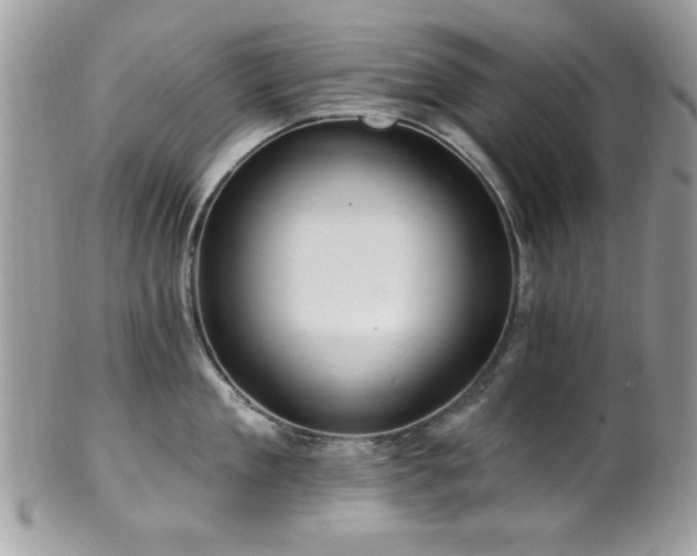 X0000102310909200807251437