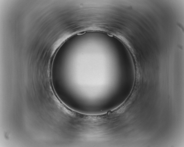 X0000102310910200807251437