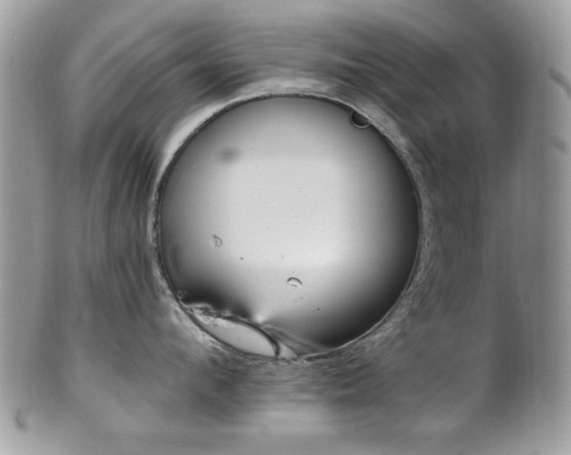X0000102310912200807251437