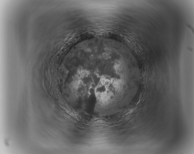 X0000102310913200807251436