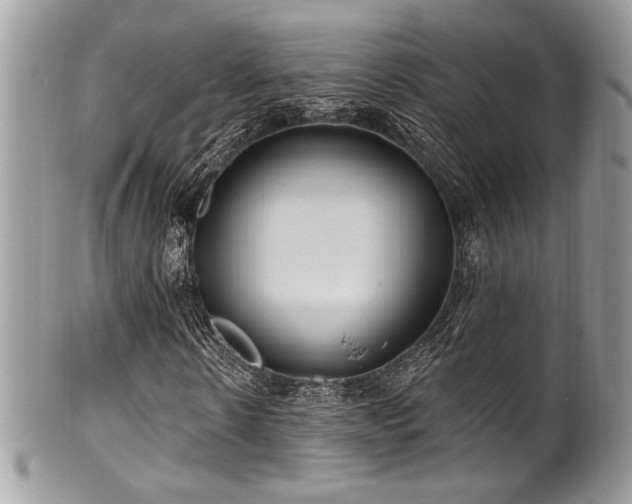 X0000102310914200807251436