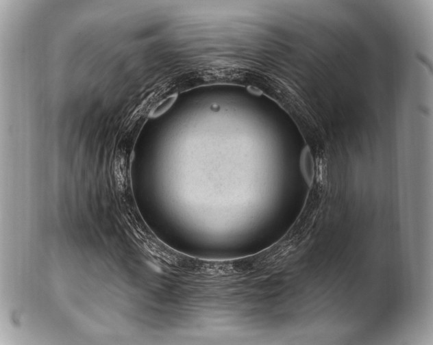 X0000102310915200807251436