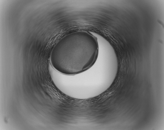 X0000102310916200807251436