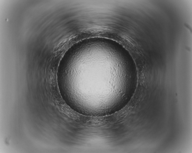 X0000102310917200807251436